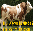 Ӧţ׬ǮţЧô