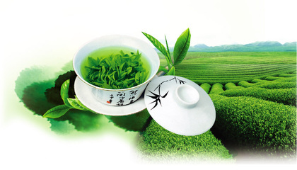 供应2016北京茶博会