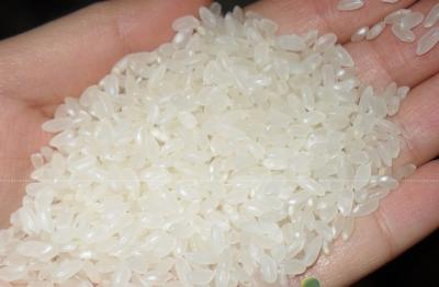 酒厂求购：玉米、小麦、大米、碎米、糯米、高粱等原料