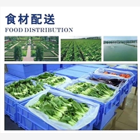 增城农产品配送专业性哪家强，认准康峰黄埔果蔬配送公司