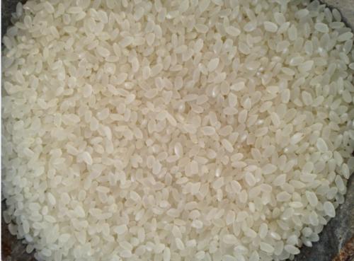  求购大米，碎米，糯米