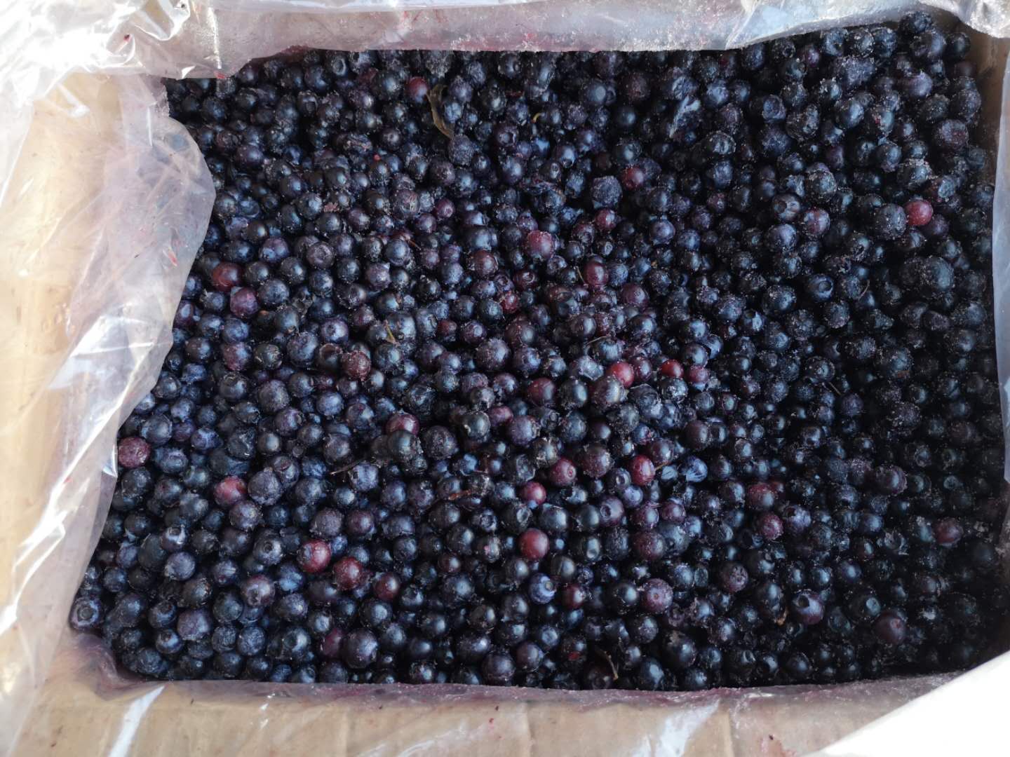  供应工厂直供鲜果冷冻进口蓝莓果汁果酱原料